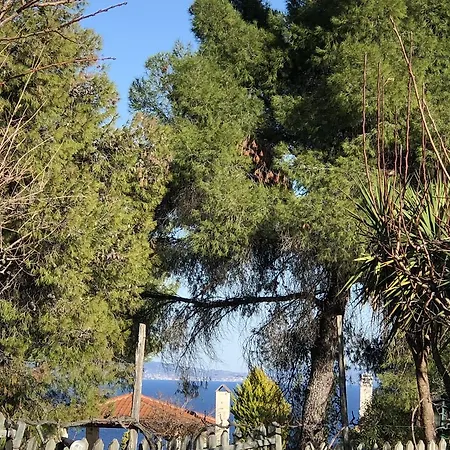 Villa Maira